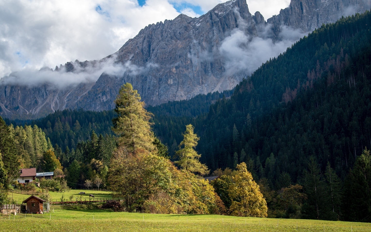 Белый туман над высокими каменными горами