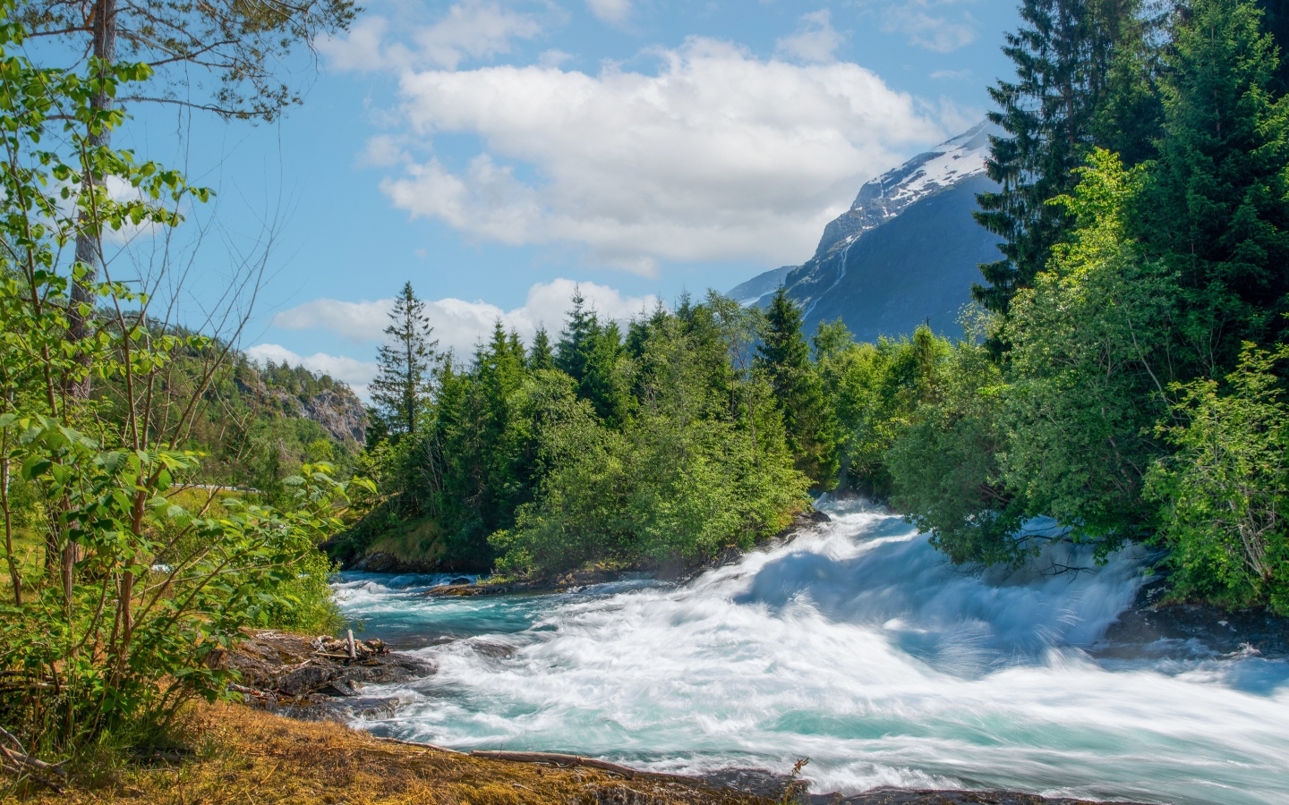 Бушующая быстрая река в лесу
