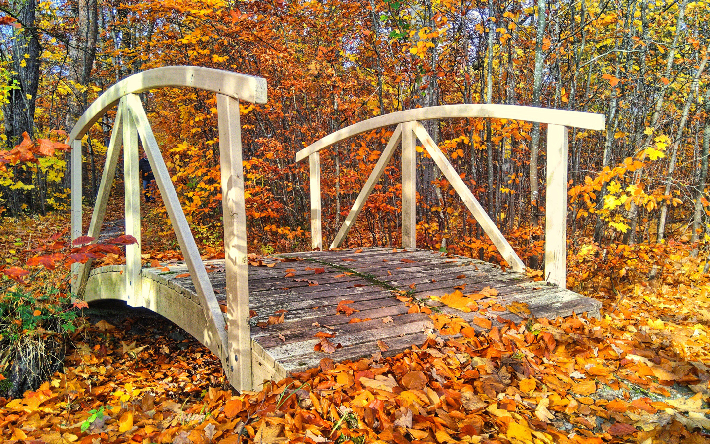 Старый деревянный мост  в осеннем парке
