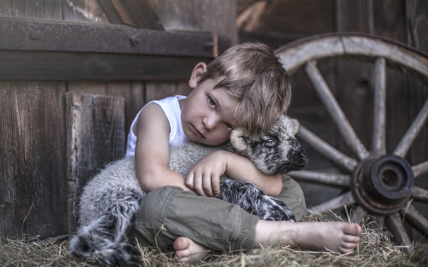 Маленький грустный мальчик обнимает ягненка