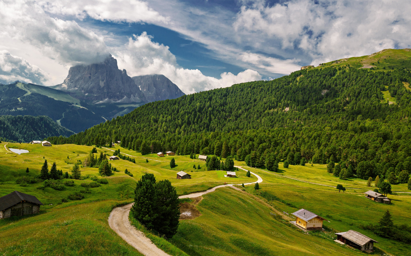 View of the forest and the alps under white clouds, Italy