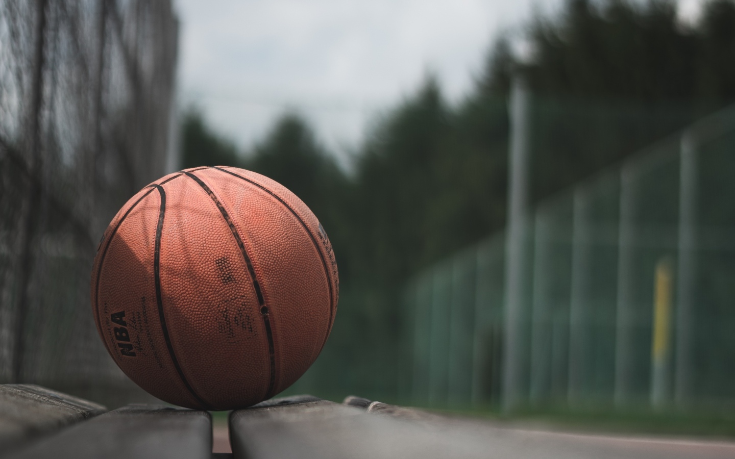 Баскетбольный мяч лежит на поле