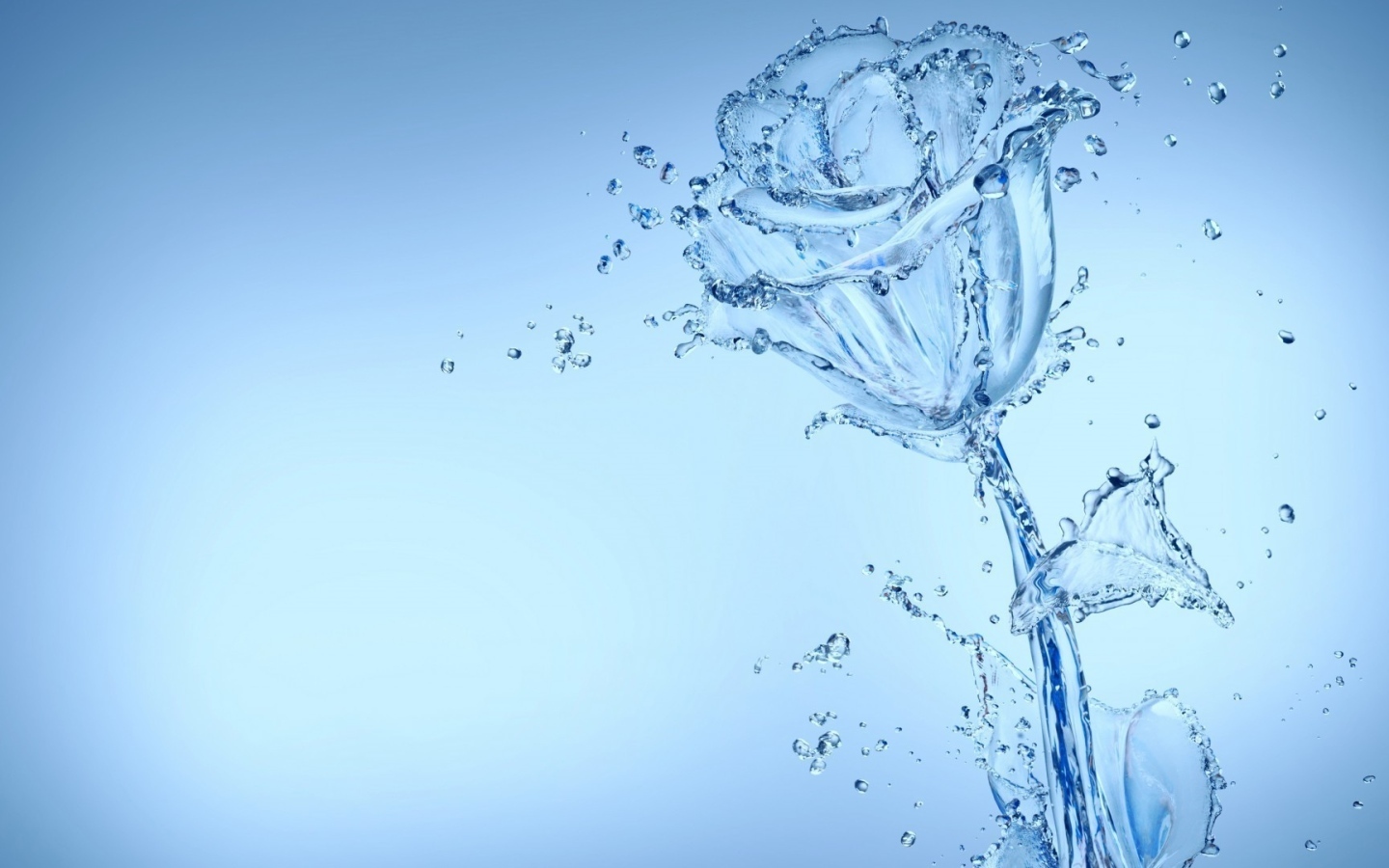 Красивая роза из воду на голубом фоне