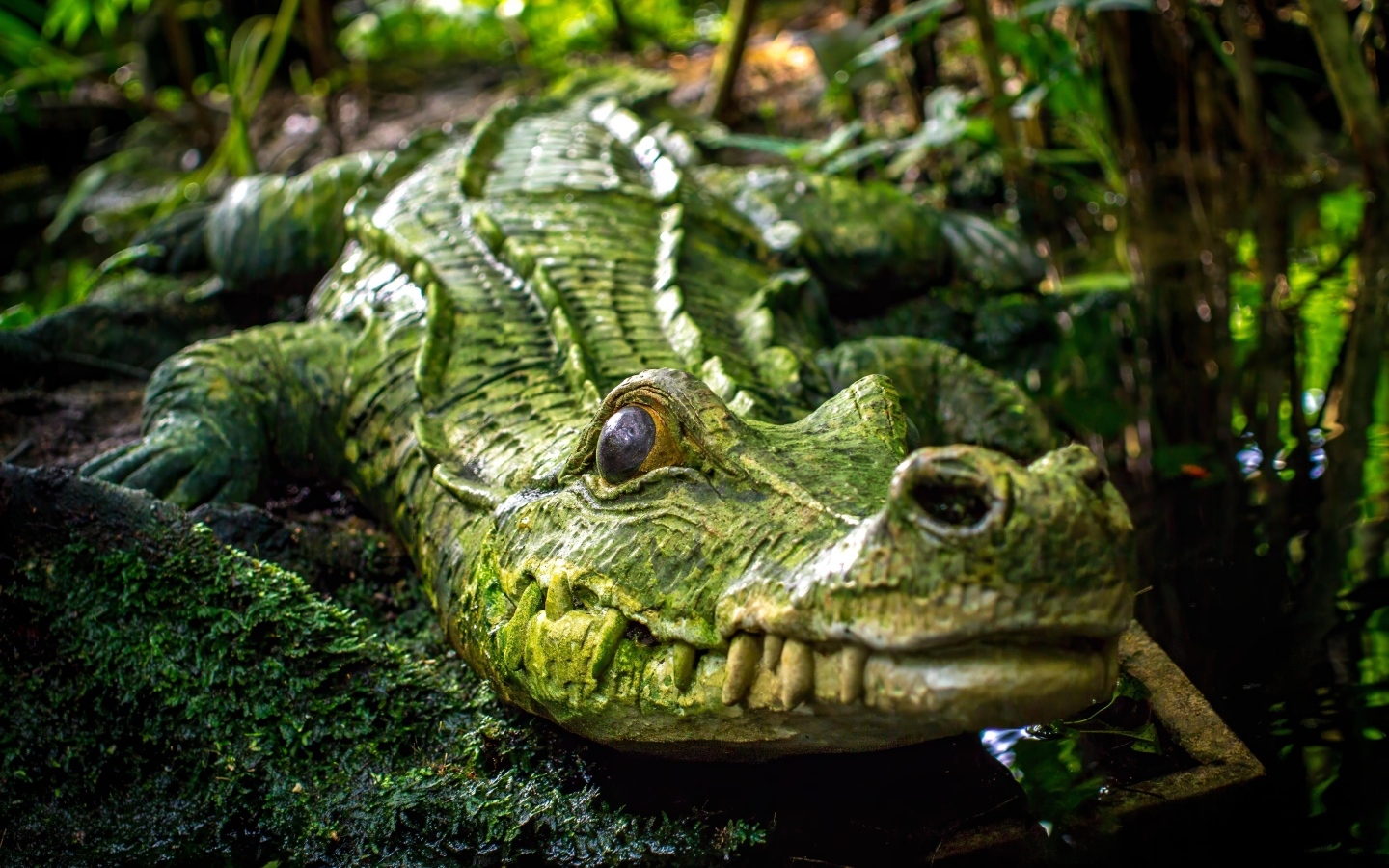 Большой зеленый крокодил у воды