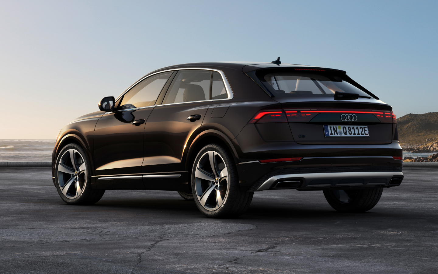 Вид сзади на черный автомобиль Audi Q8 55 TFSI E Quattro 2024 года