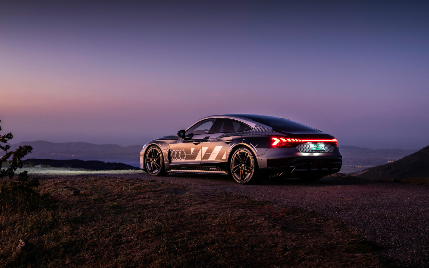 Вид сзади на автомобиль Audi RS E-Tron GT Prototype