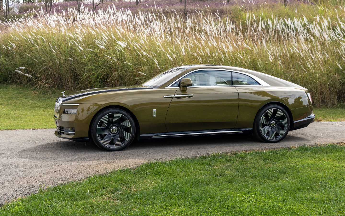 Оливковый автомобиль Rolls-Royce Spectre у высокой травы