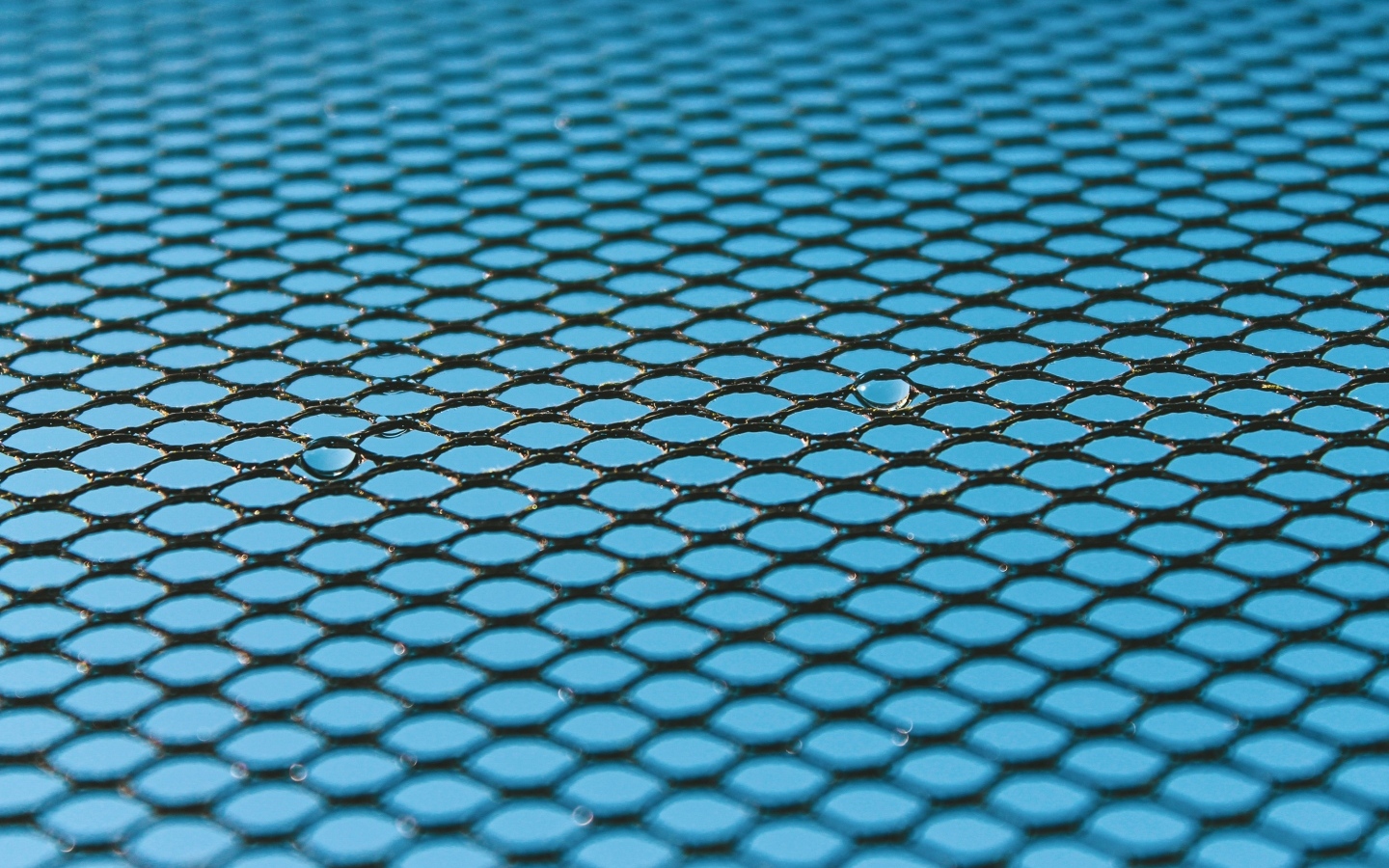 Черная сетка на голубом для фона