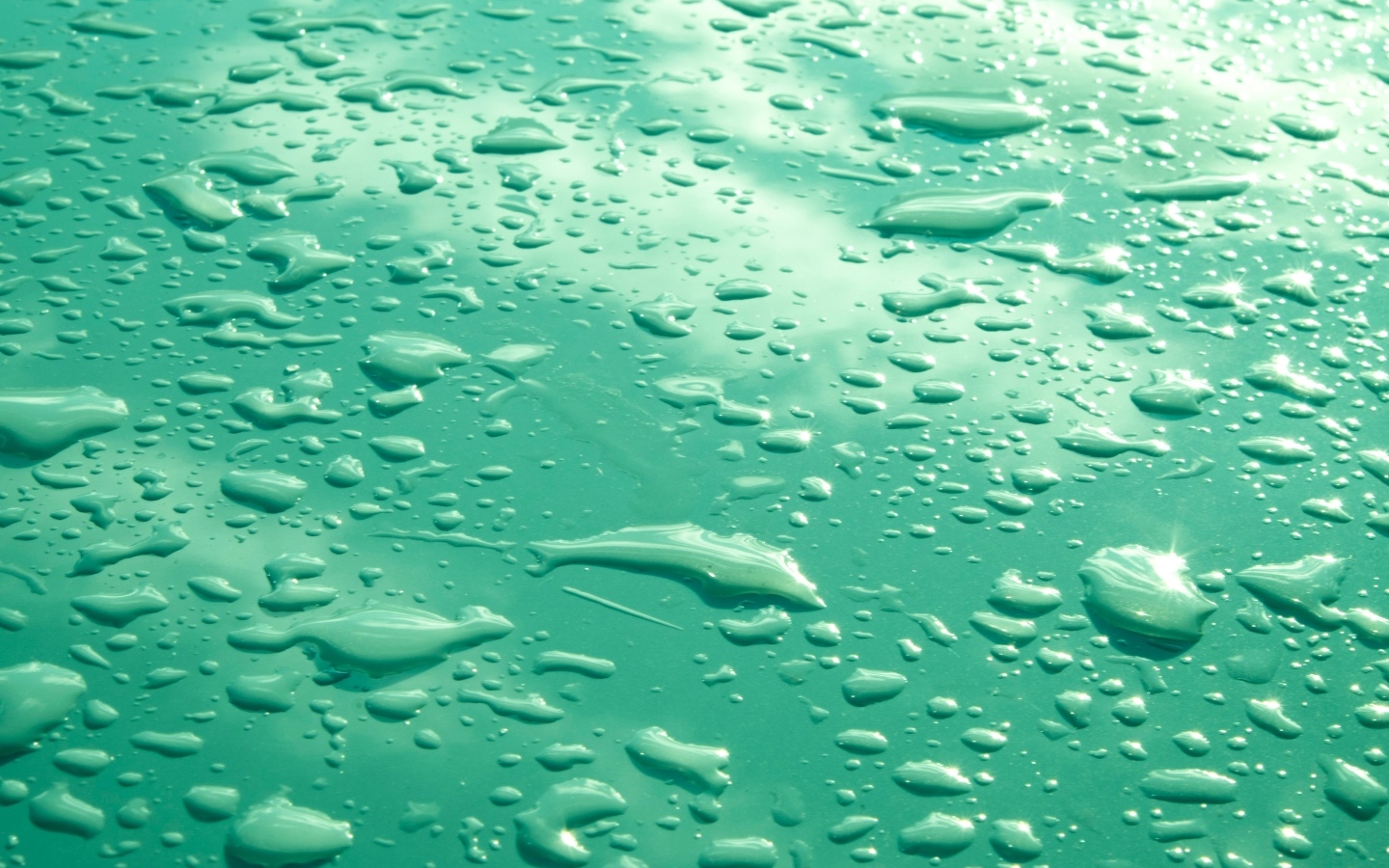 Капли воды на зеленом фоне