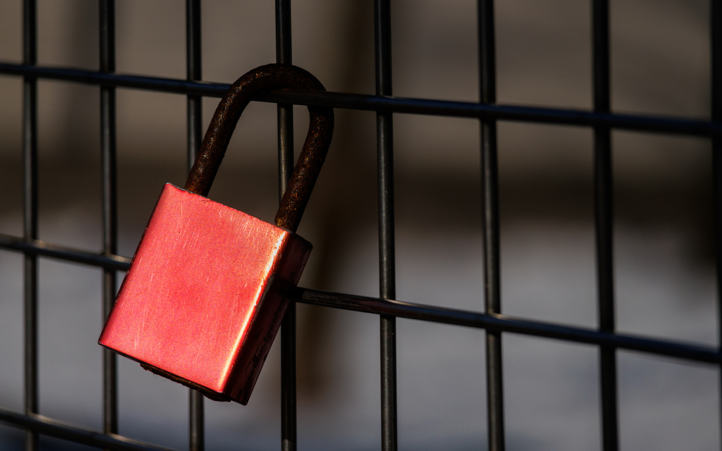 Красный замок на сетке 