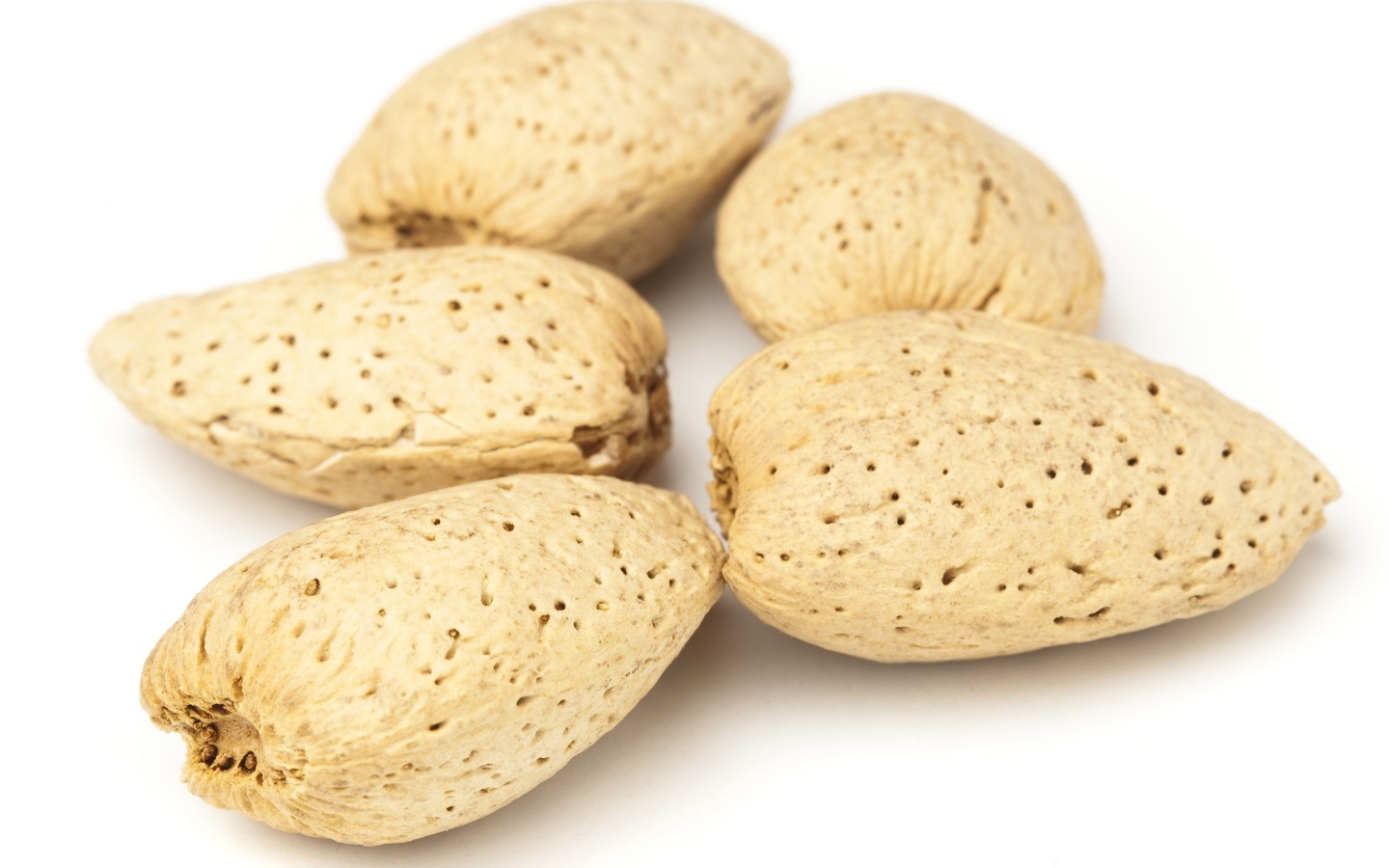 Большие миндальные орехи в скорлупе