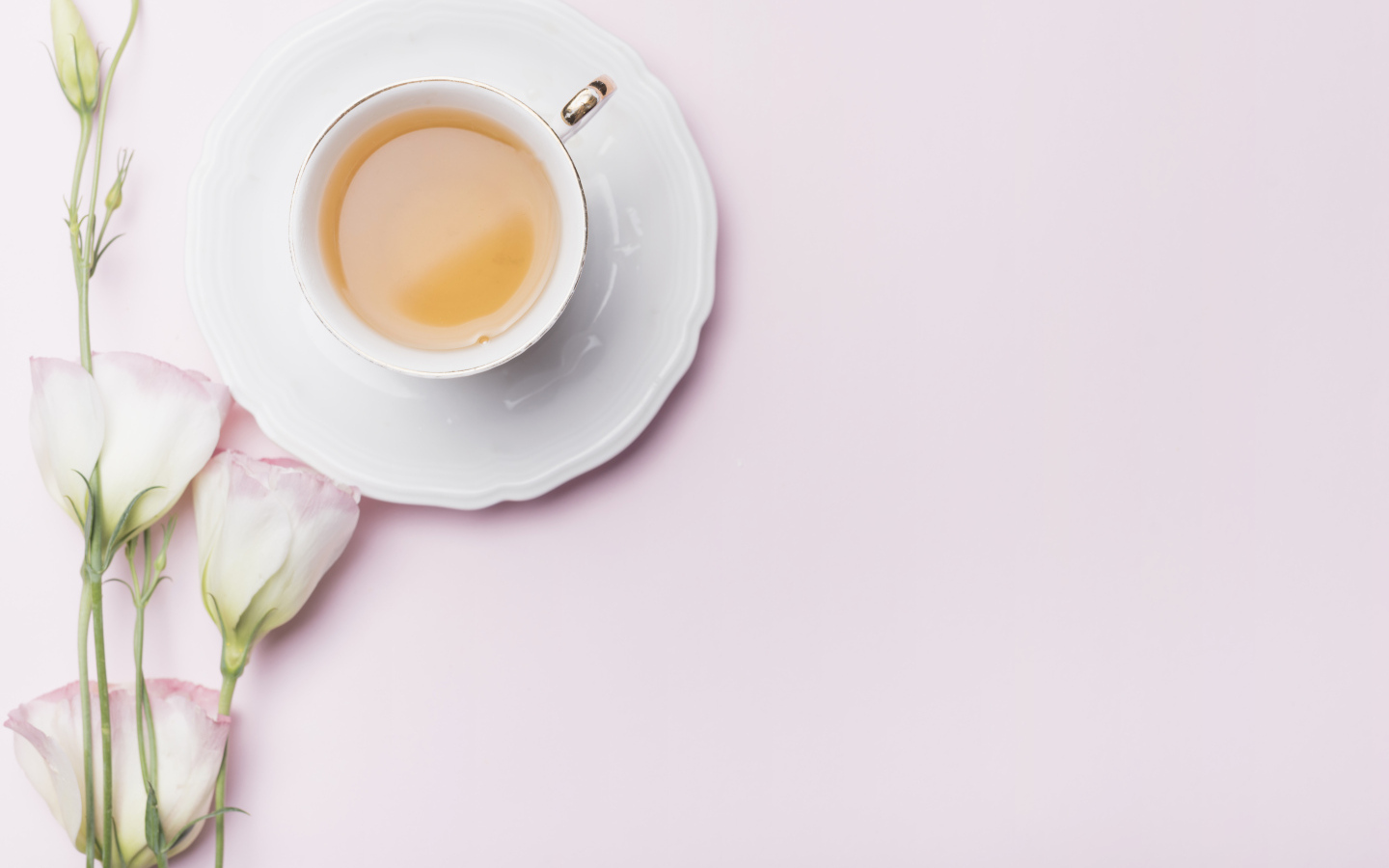 Чашка чая на розовом фоне с цветами эустомы