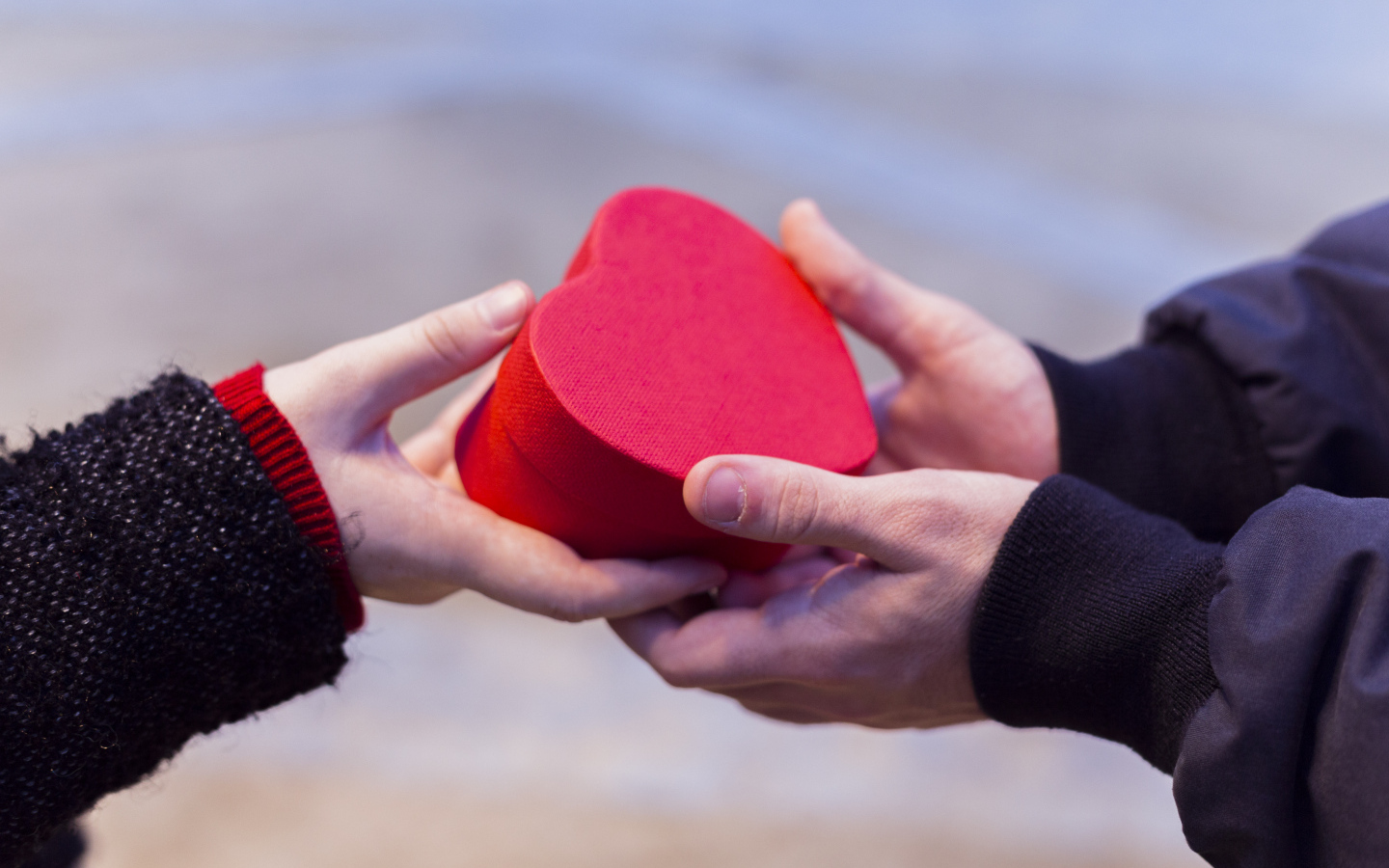 Пара держит небольшую подарочную коробку в форме сердца