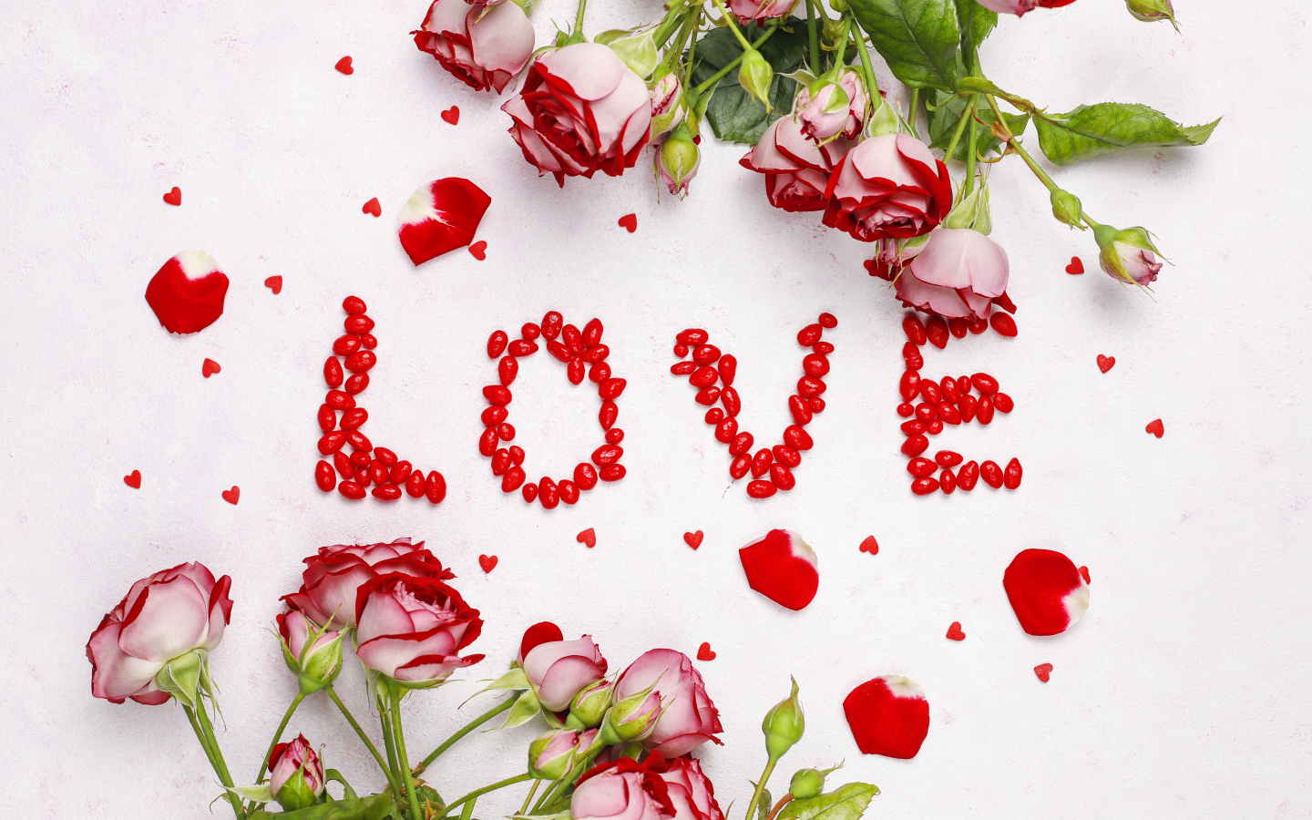 Надпись любовь с розами на белом фоне