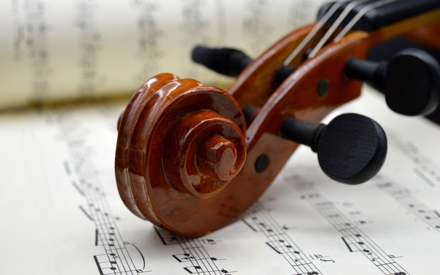 Скрипка с нотами крупным планом