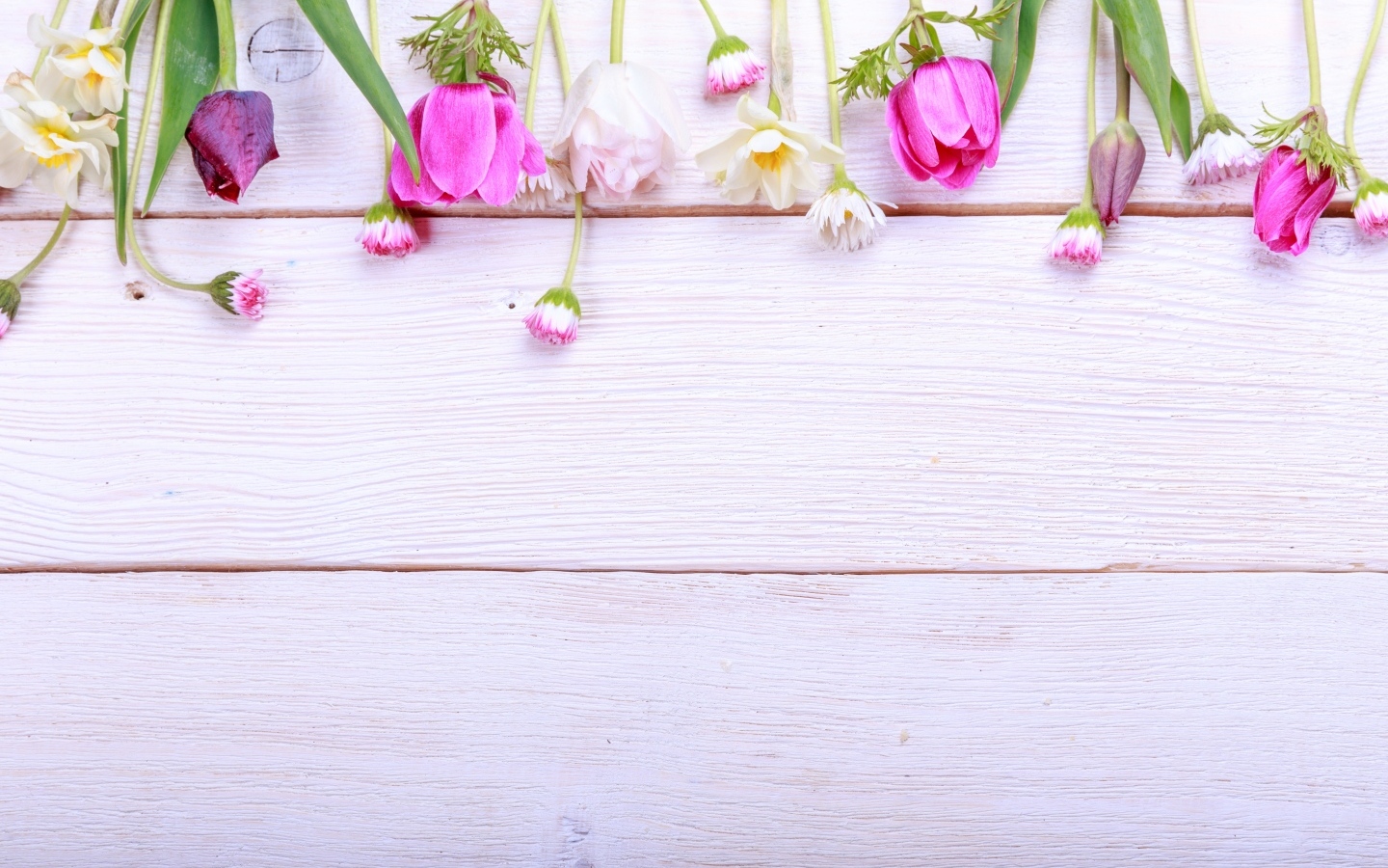 Красивые разноцветные весенние цветы на деревянном фоне