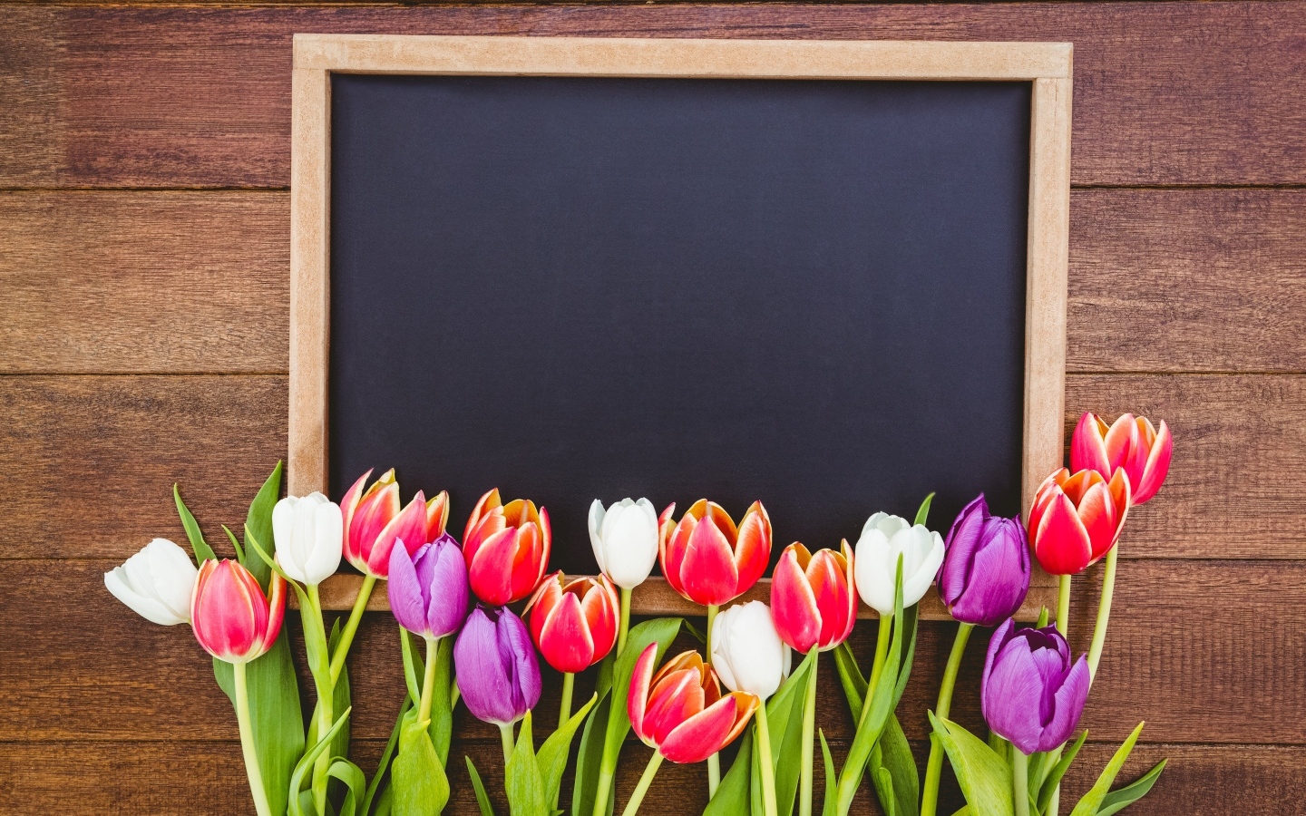 Красивые разноцветные тюльпаны с рамкой на деревянном столе