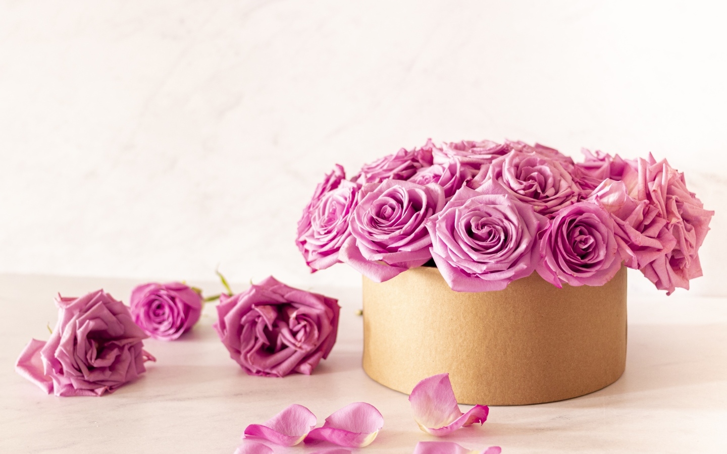 Красивые розовые розы в картонной коробке на белом фоне