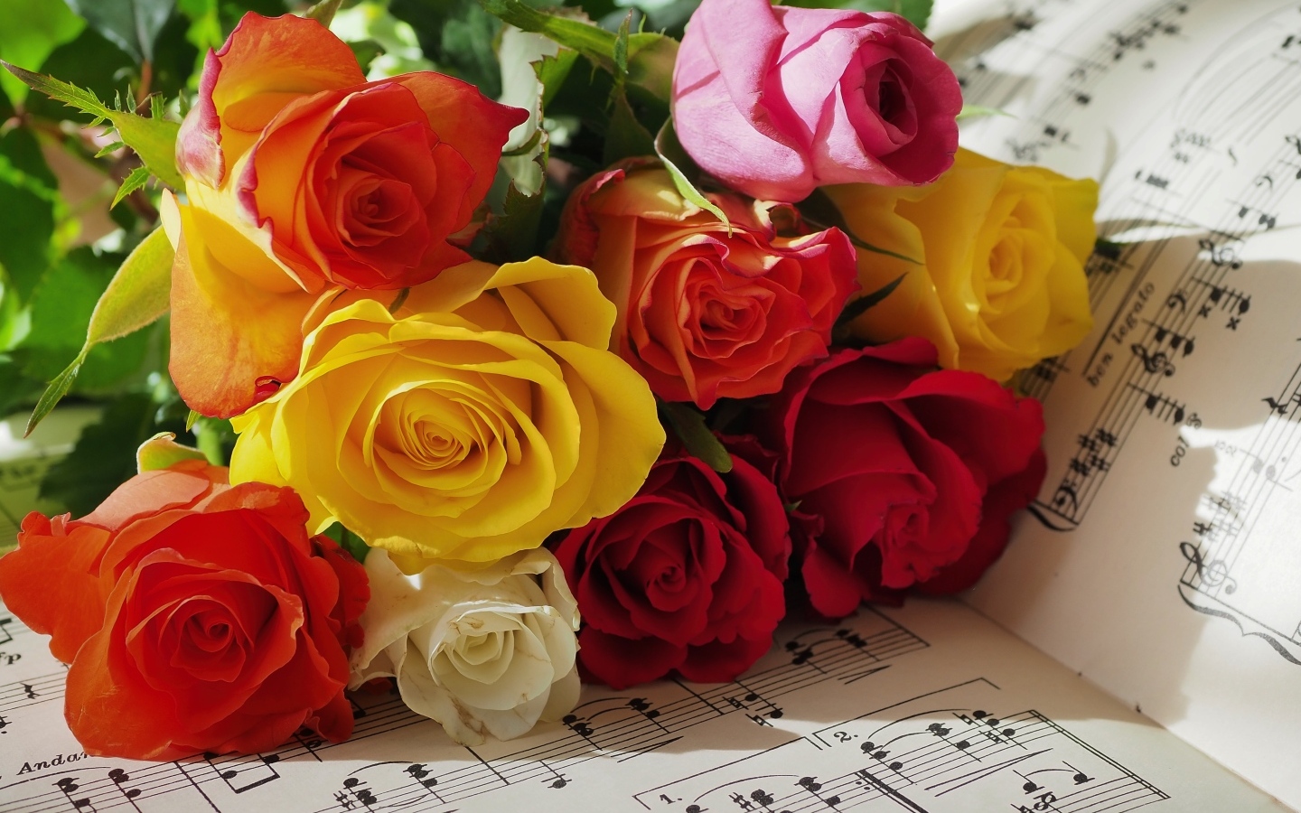 Букет разноцветных роз на нотной тетради