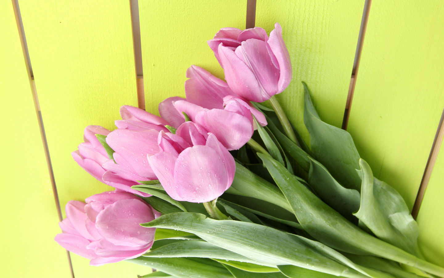 Букет розовых тюльпанов на желтом фоне