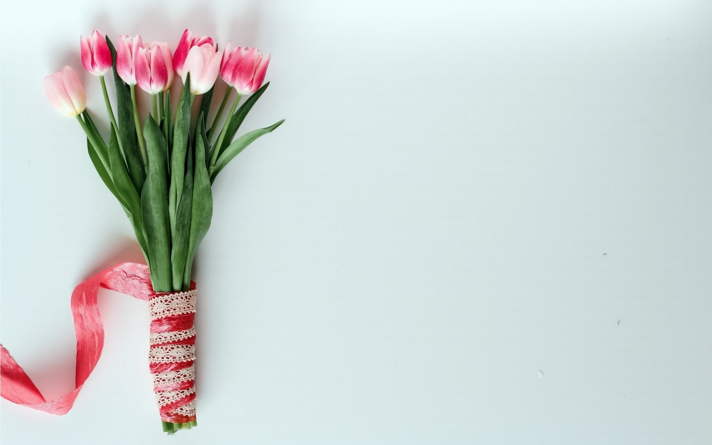 Букет розовых тюльпанов с атласной лентой на сером фоне