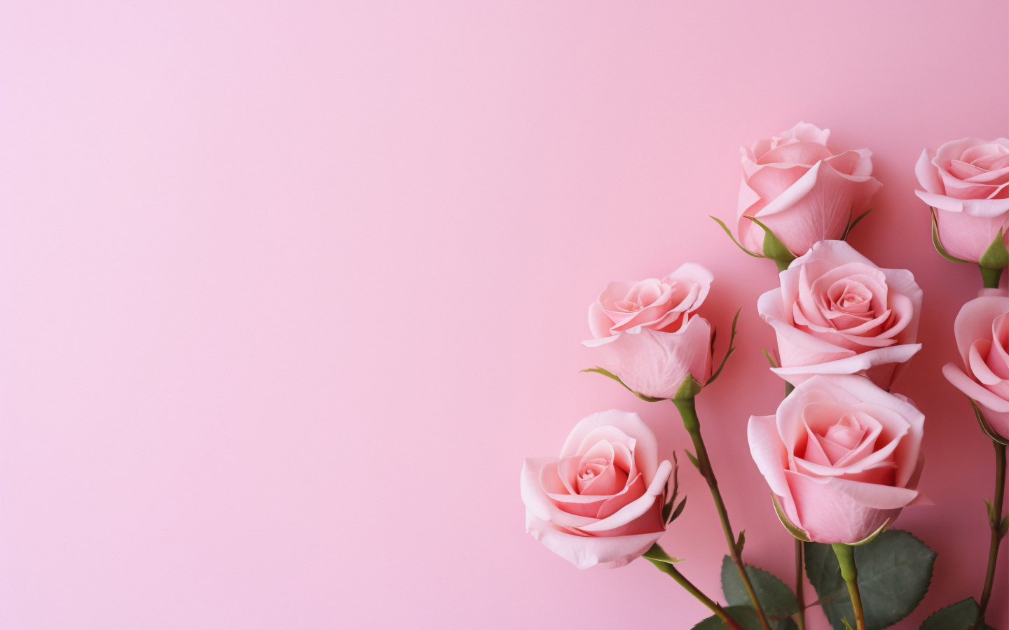 Букет роз на розовом фоне, шаблон для поздравительной открытки