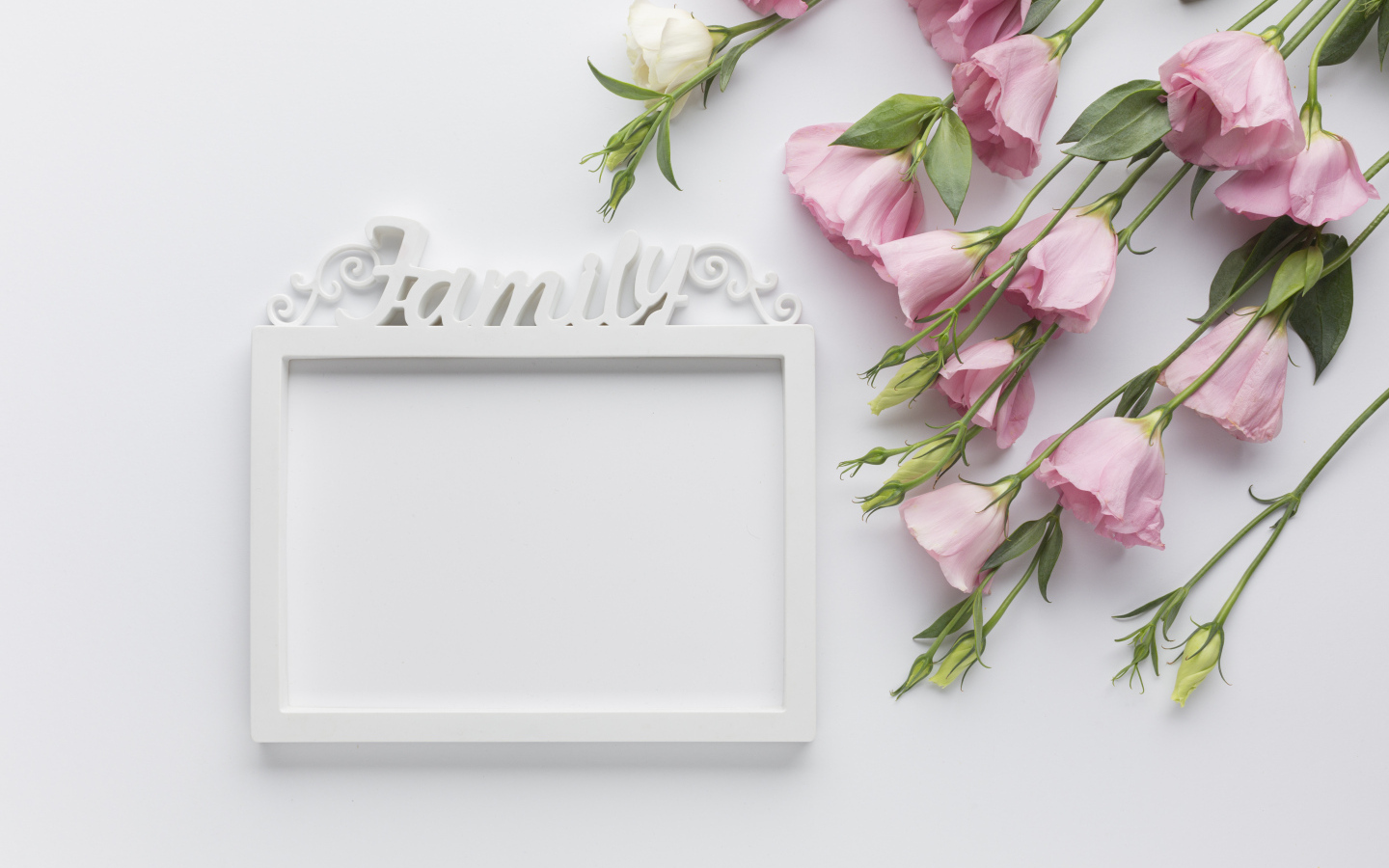 Эустома  с рамкой на белом фоне, шаблон для открытки