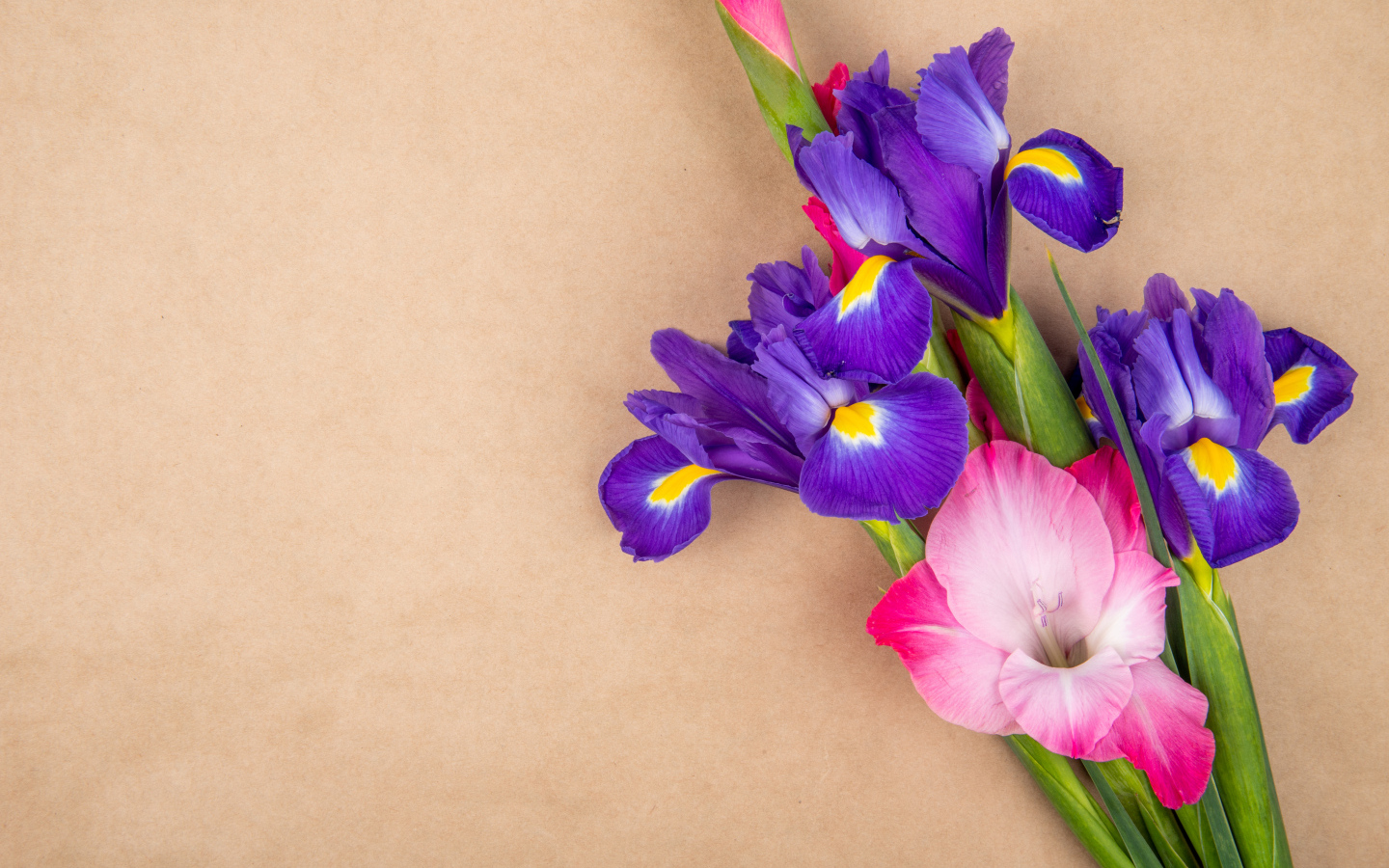 Сиреневые ирисы и гладиолусы на коричневом фоне