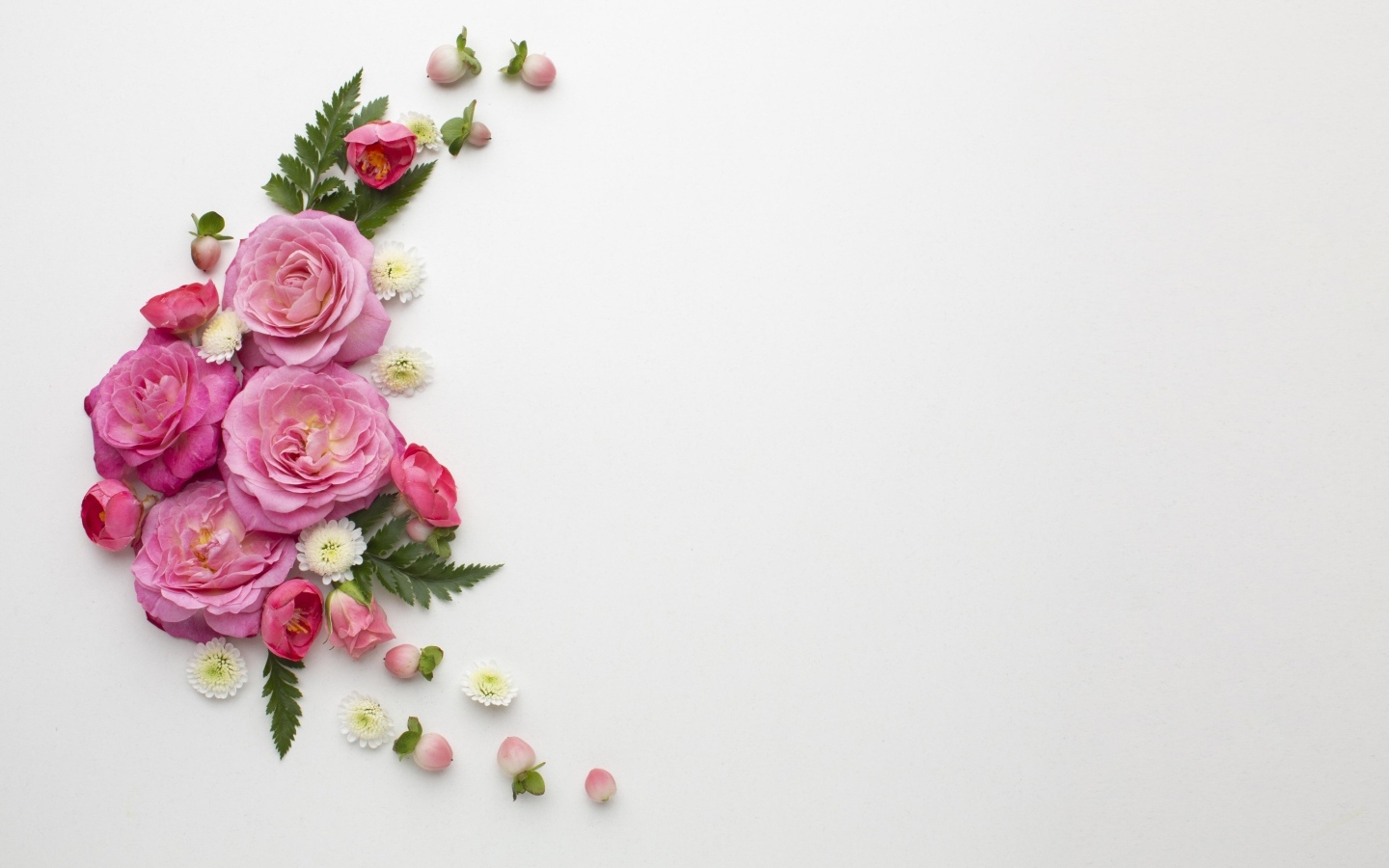 Розовые розы с зелеными листьями на сером фоне