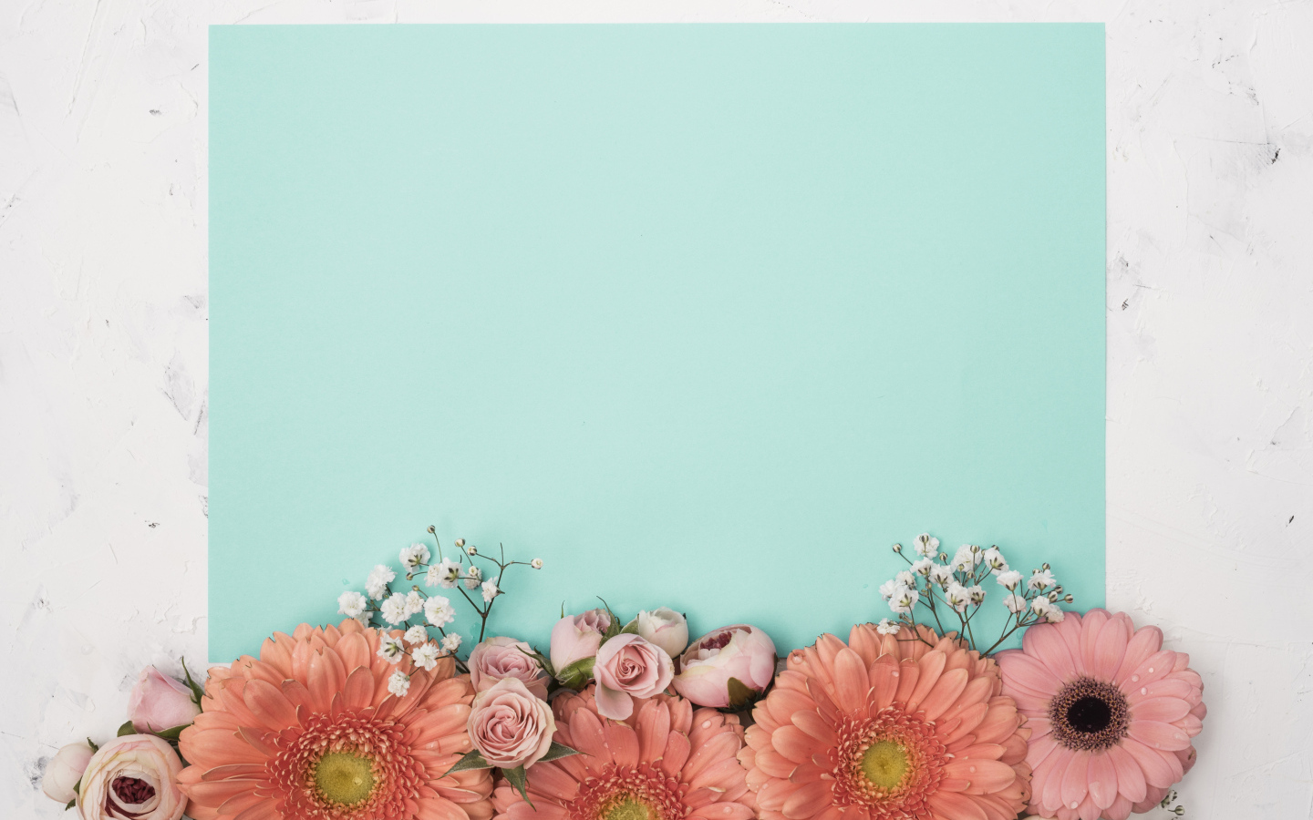 Лист голубой бумаги для фона с цветами розы и герберы