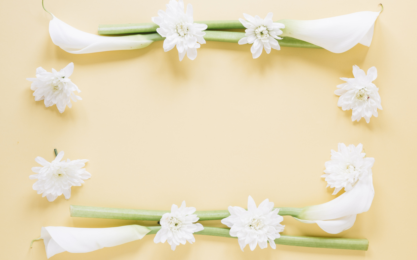 Белые каллы с хризантемами на желтом фоне