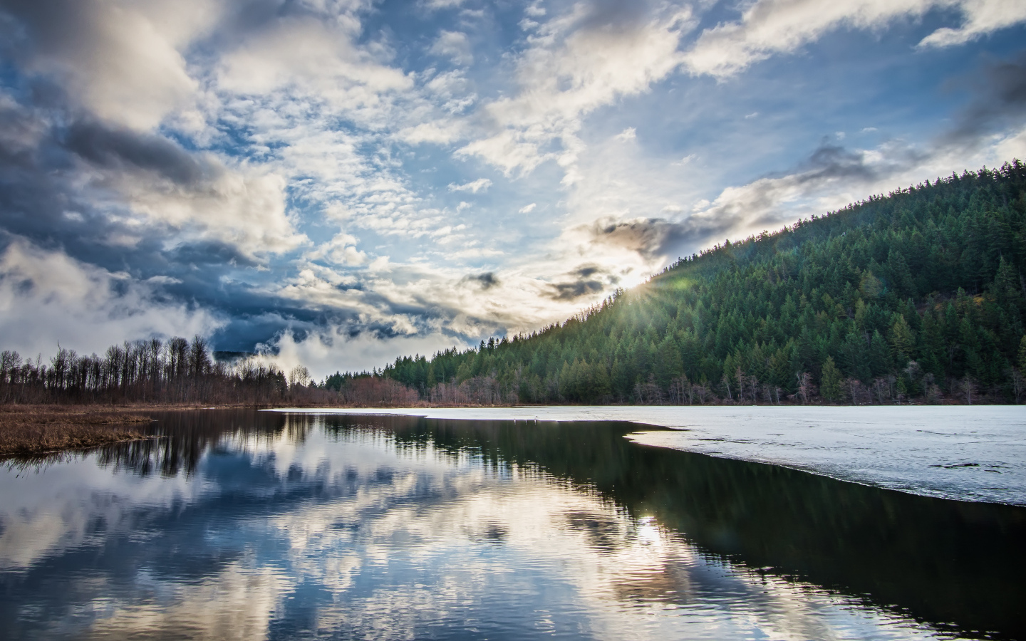 Рассвет яркого солнца над лесом у озера
