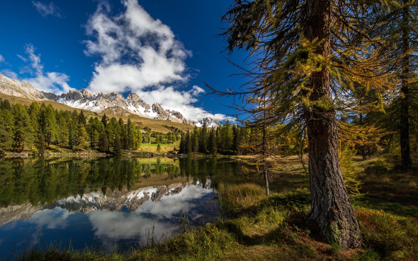 Озеро в горах с высокими елями под голубым небом