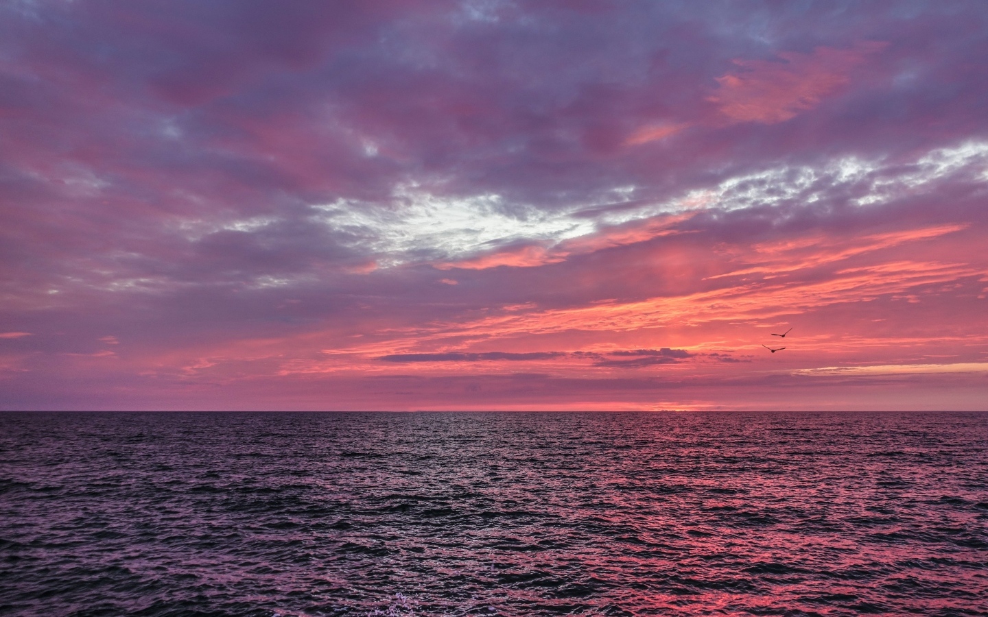 Красивый розовый закат в небе над морем