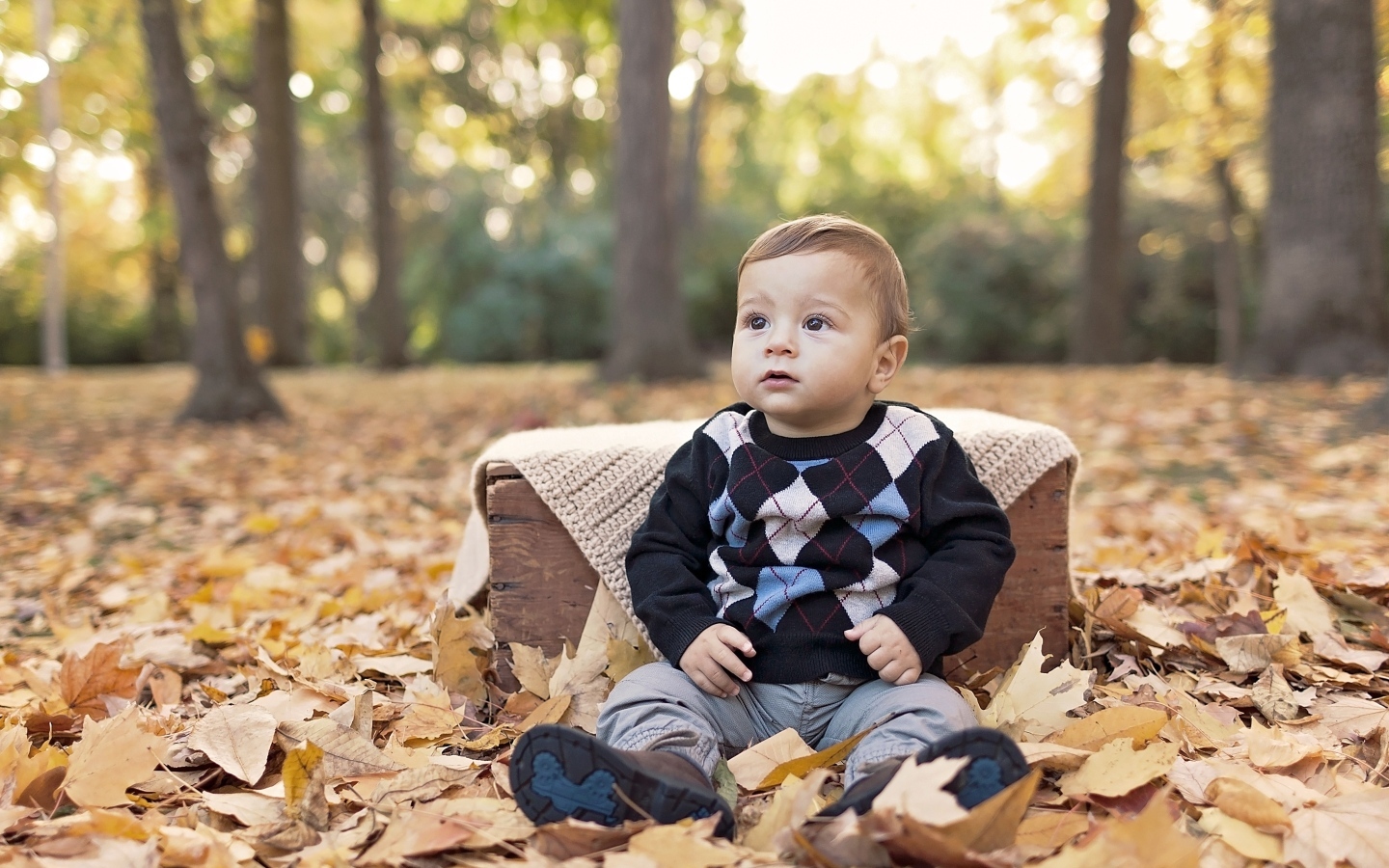 Мальчик сидит на опавшей осенней листве