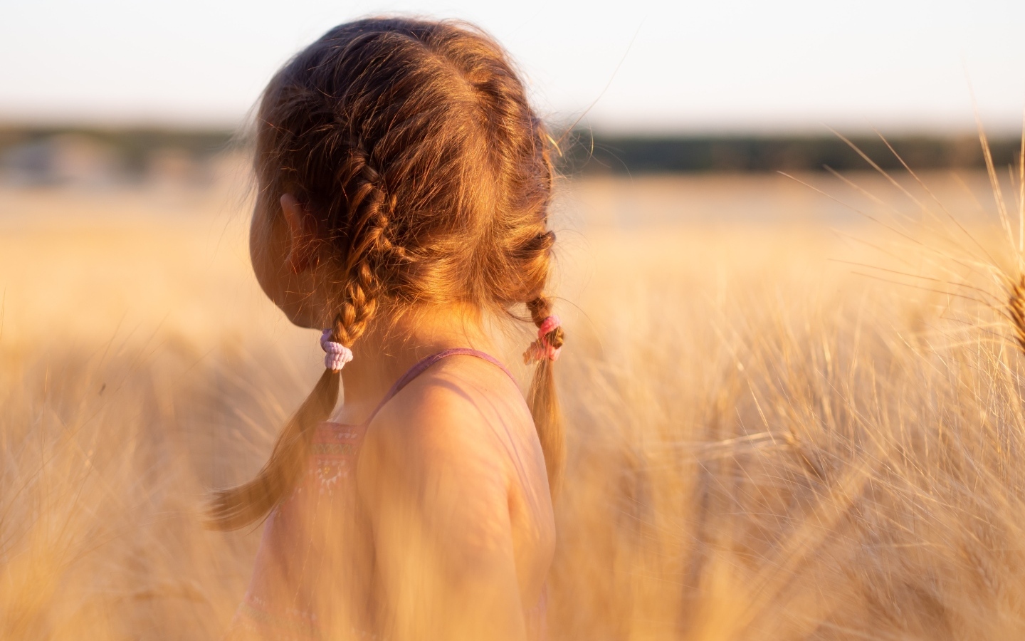 Косы на голове у маленькой девочки