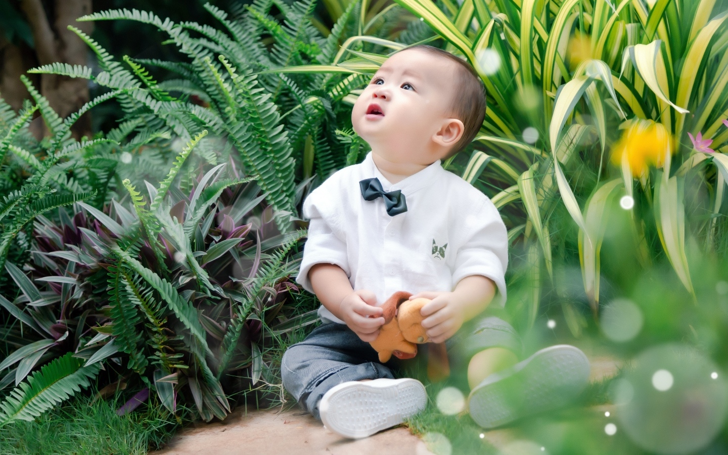 Маленький азиатский ребенок в зеленой траве