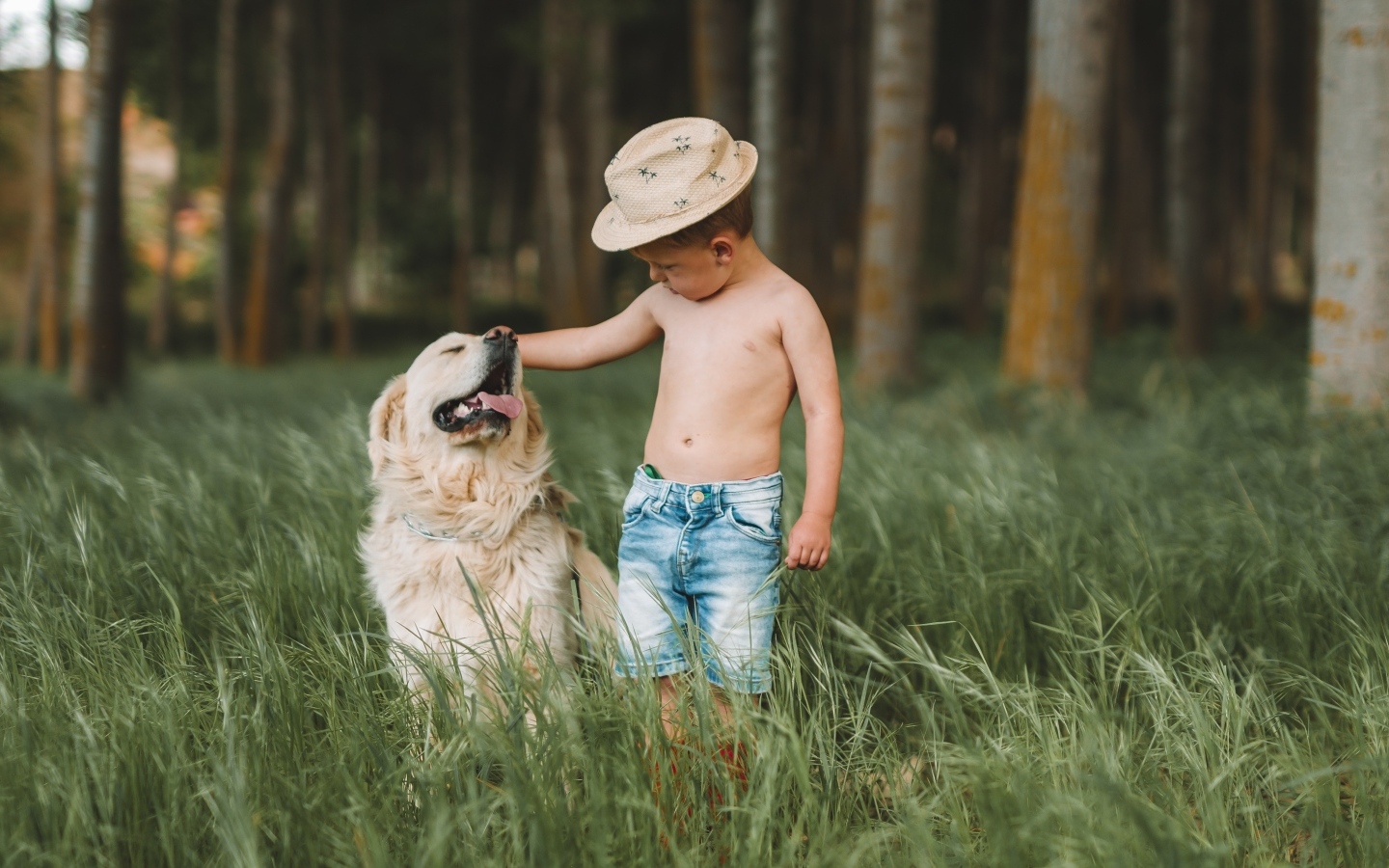 Маленький мальчик в траве с золотистым ретривером
