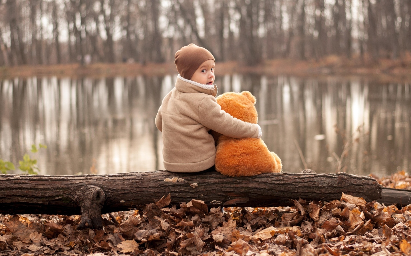 Маленький мальчик с игрушкой сидят на колоде у озера осенью