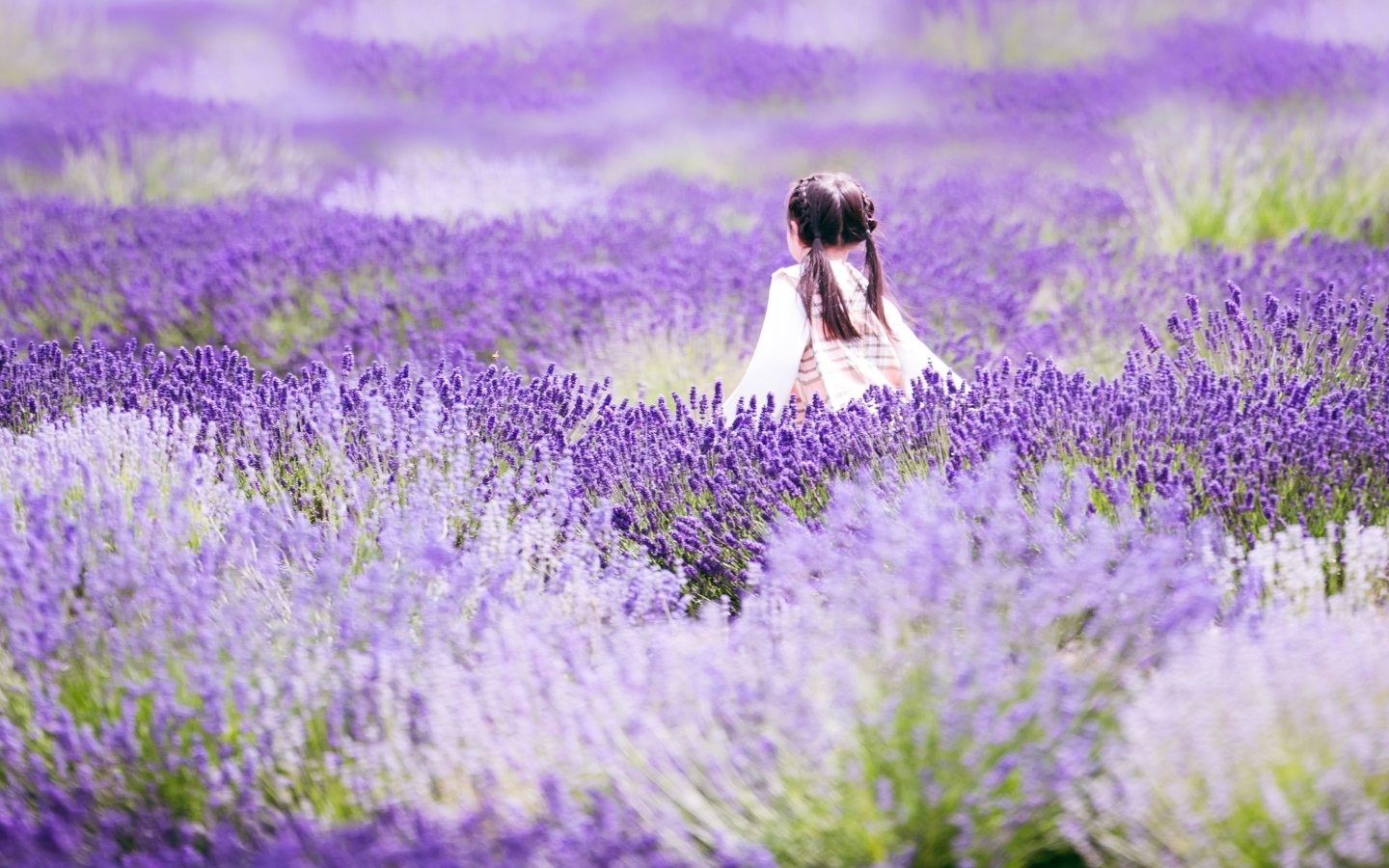 Маленькая девочка гуляет по лавандовому полю
