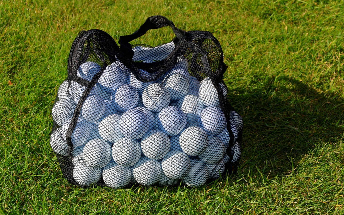 Сетка с мячами для гольфа на траве