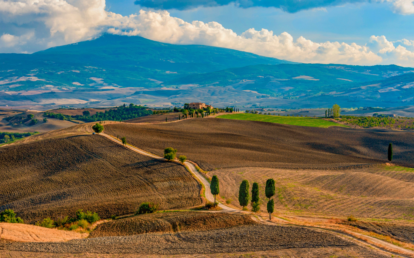 Красивый вид на поля Тосканы, Италия
