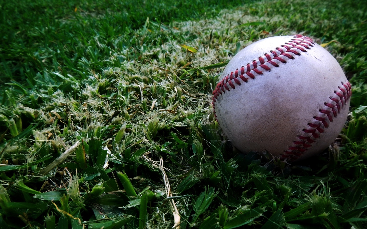 Мяч для бейсбола на траве 