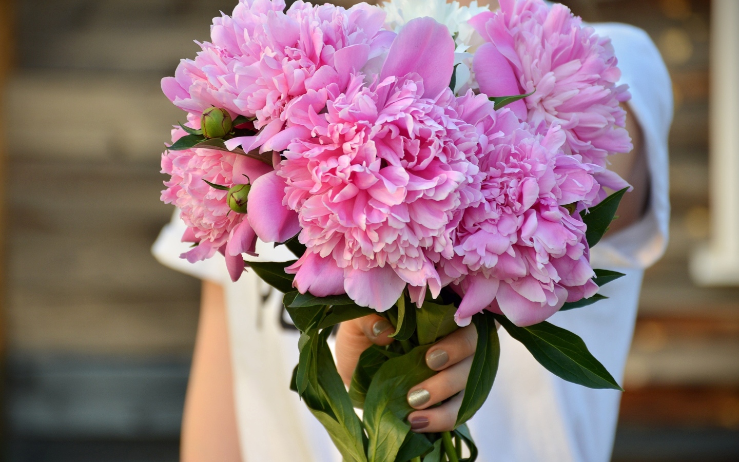 Букет розовых ароматных пионов в руке