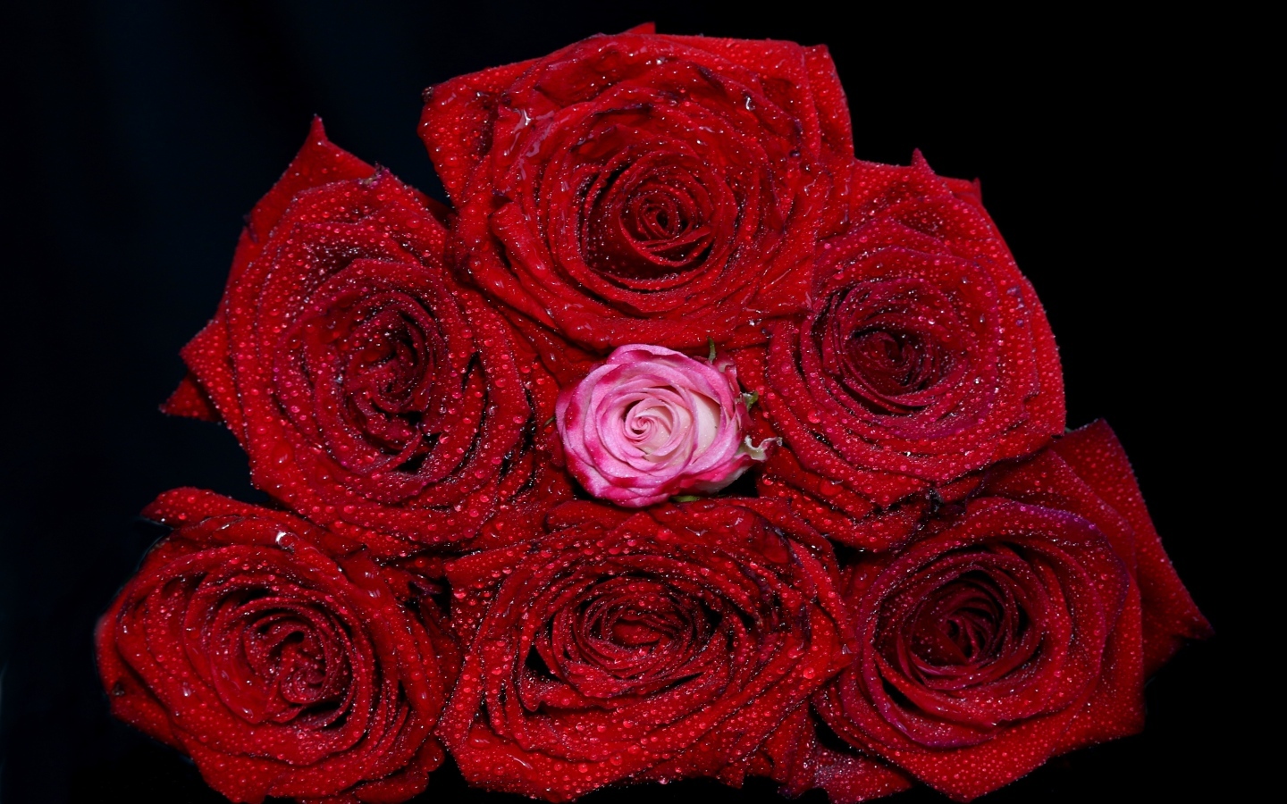 Букет красных роз в каплях воды на черном фоне