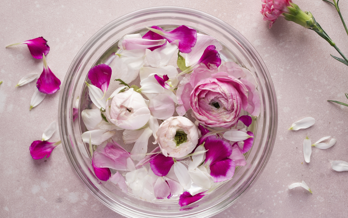 Стеклянный сосуд с оборванными цветами розы и лютика