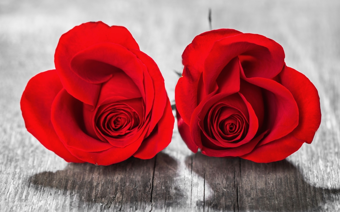 Две красные розы на деревянном столе