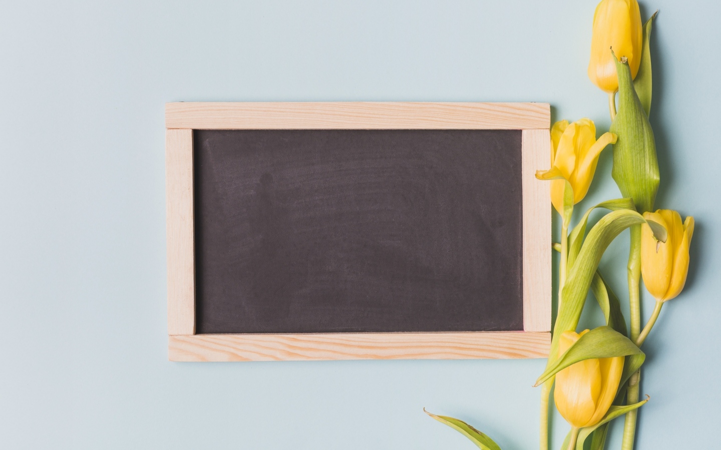 Желтые тюльпаны с рамкой для фона на сером фоне