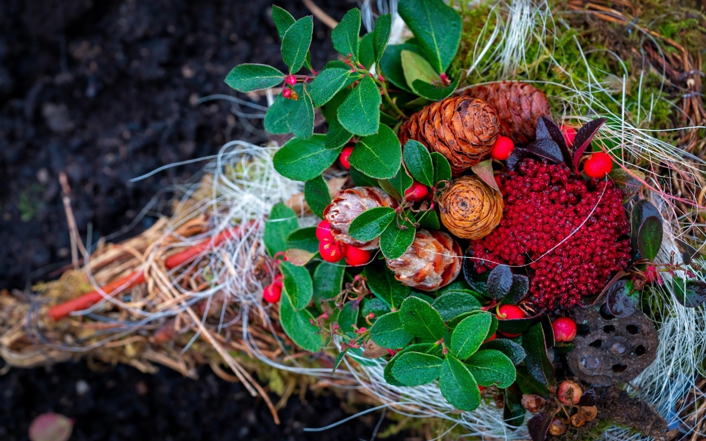 Шишки с ветками и ягодами калины