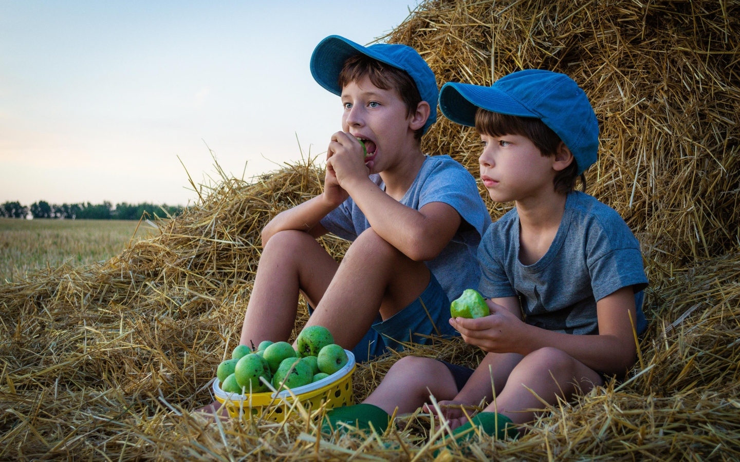 Два маленьких мальчика с зелеными яблоками у стога сена